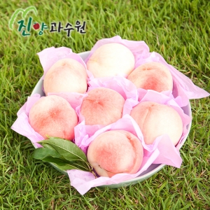 삽당령사과,아부백도